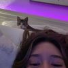 andreacavazos15